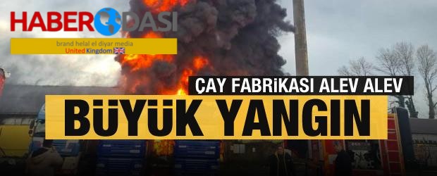 Artvinde çay fabrikasında büyük yangın