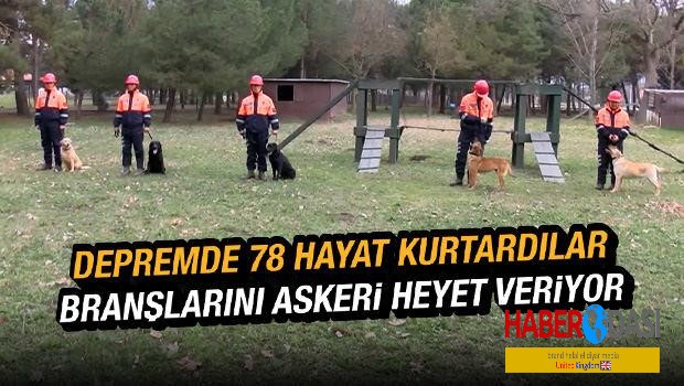 Depremde 78 kişiyi kurtaran köpeklerin branşlarını askeri heyet belirliyor