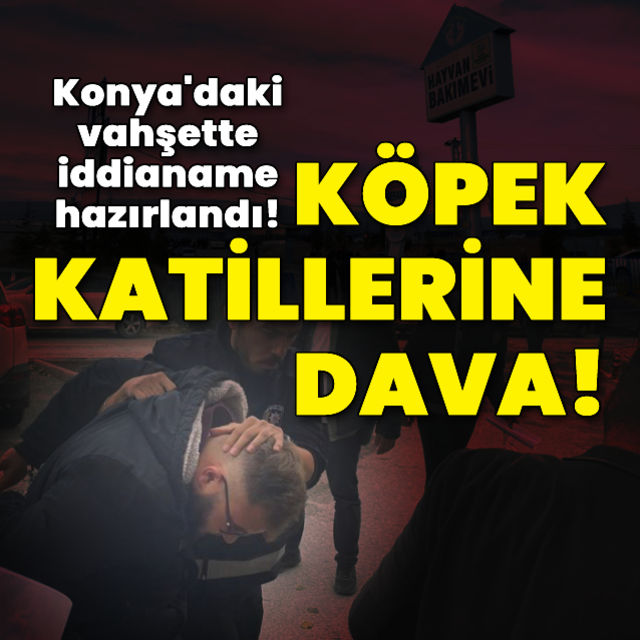 Son dakika haberi Konya da barınaktaki vahşette iddianame hazırlandı