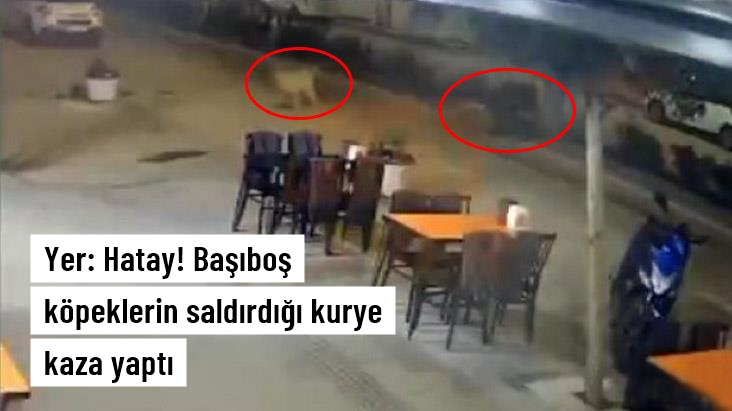 Hatay'da başıboş köpeklerin saldırdığı kurye kaza yaptı