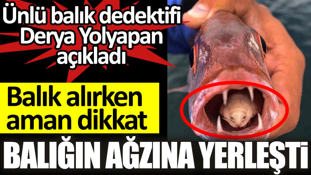 Ünlü balık dedektifi Derya Yolyapan açıkladı