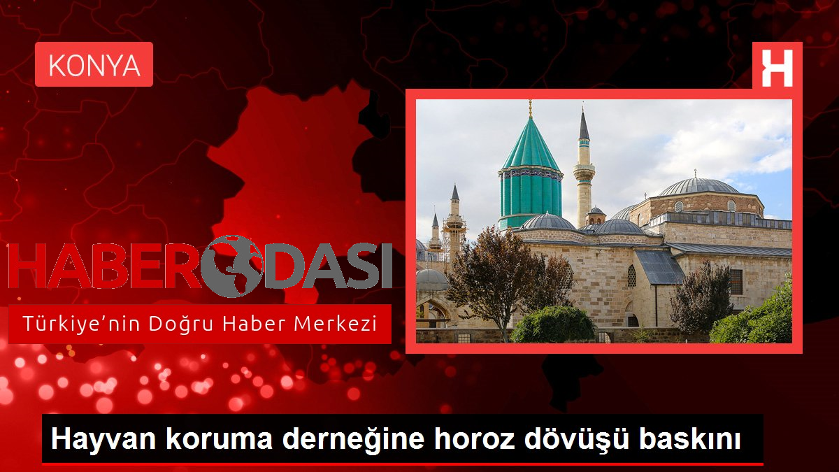 Hayvan koruma derneğine horoz dövüşü baskını