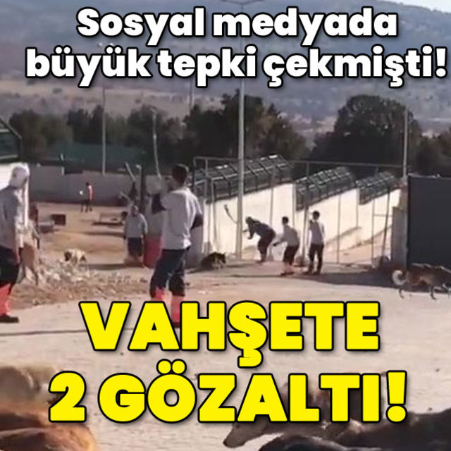 Sosyal medyada büyük tepki çekmişti Vahşete 2 gözaltı