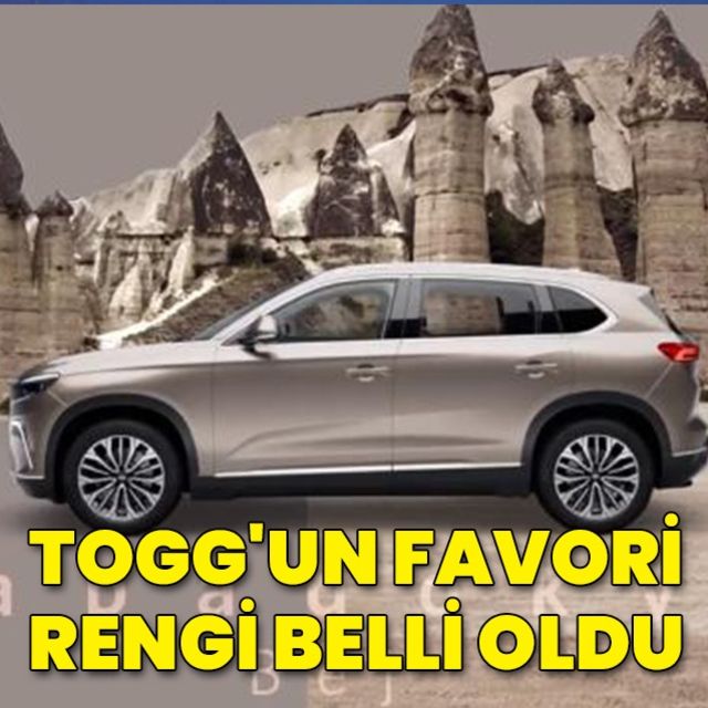 Yapılan oylamada favori Togg rengi belli oldu