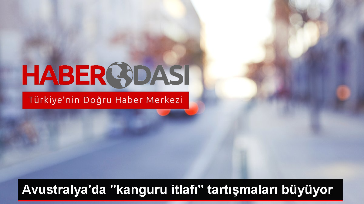 Avustralyada kanguru itlafı tartışmaları büyüyor