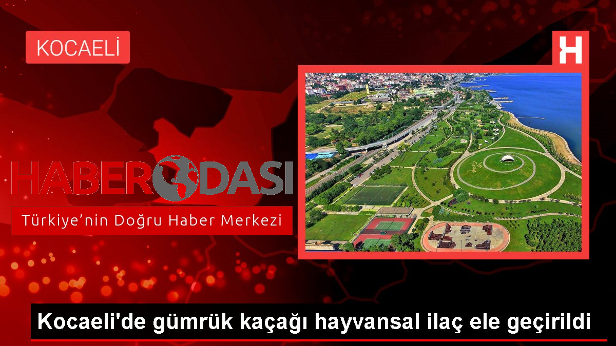 Kocaelide gümrük kaçağı hayvansal ilaç ele geçirildi