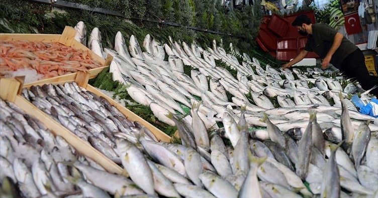 Balık tezgahlarının gözdesi mezgit somon ve hamsi