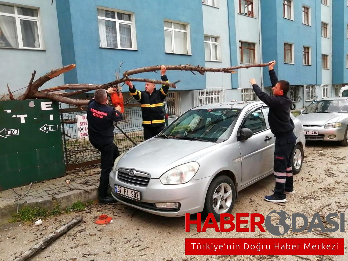 Devrilen ağaç park halindeki otomobilin üstüne düştü