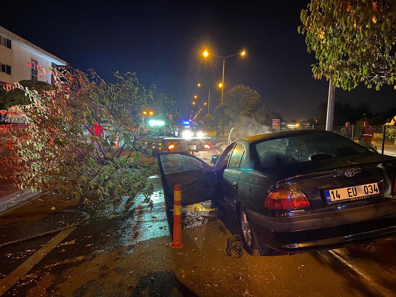 Aracıyla çarptığı orta refüjdeki ağacı gövdesinden kırdı 1 yaralı